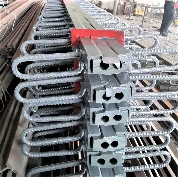 Strip seal bridge expansion joint with various types