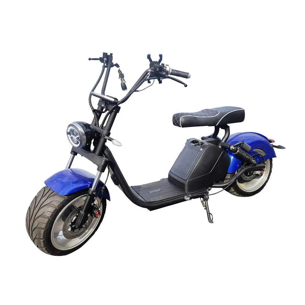 Simple Design Remarkable Quality Citycoco Removable Battery Coc/eec Certificate