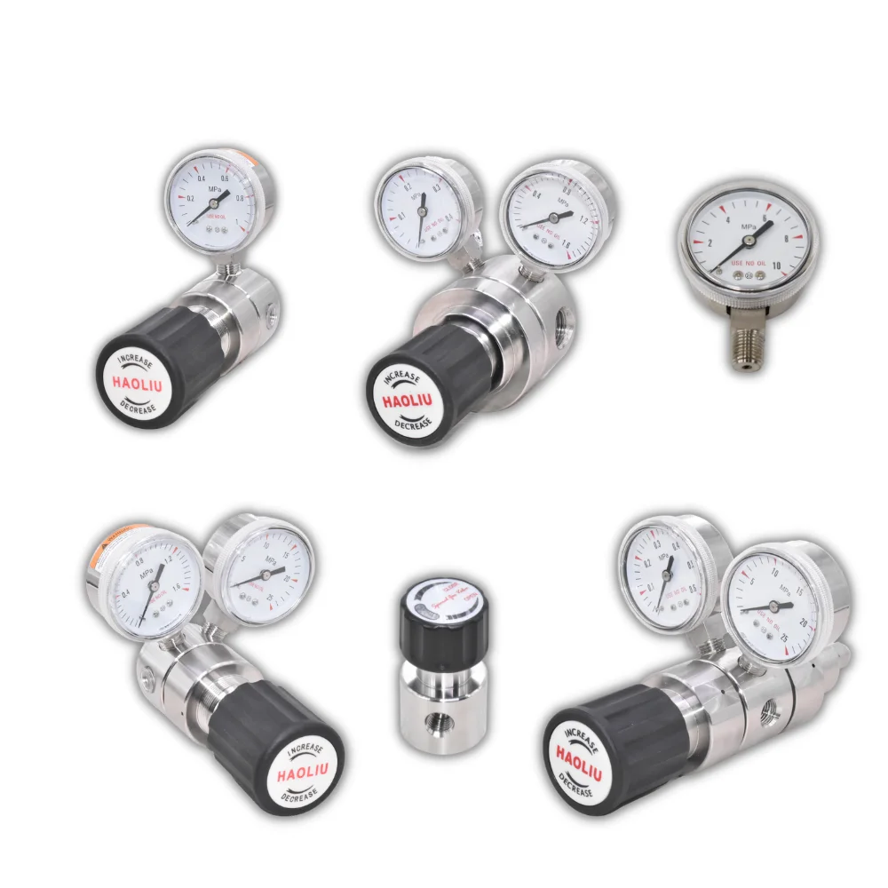 Stainless Steel High Pressure Laboratory 1/4npt 1/2npt Air Helium Co2 Cl2 1st Stage Double Gauge Nitrogen Gas Pressure Regulator