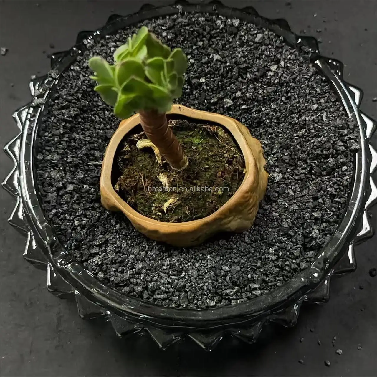 High Carbon Calcined Petroleum Coke CPC Low Sulfur Fuel Factory Supplied Coke Fuel