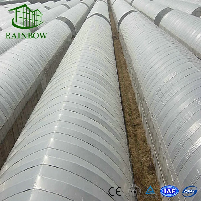 Chinese single span plastic film tunnel greenhouse