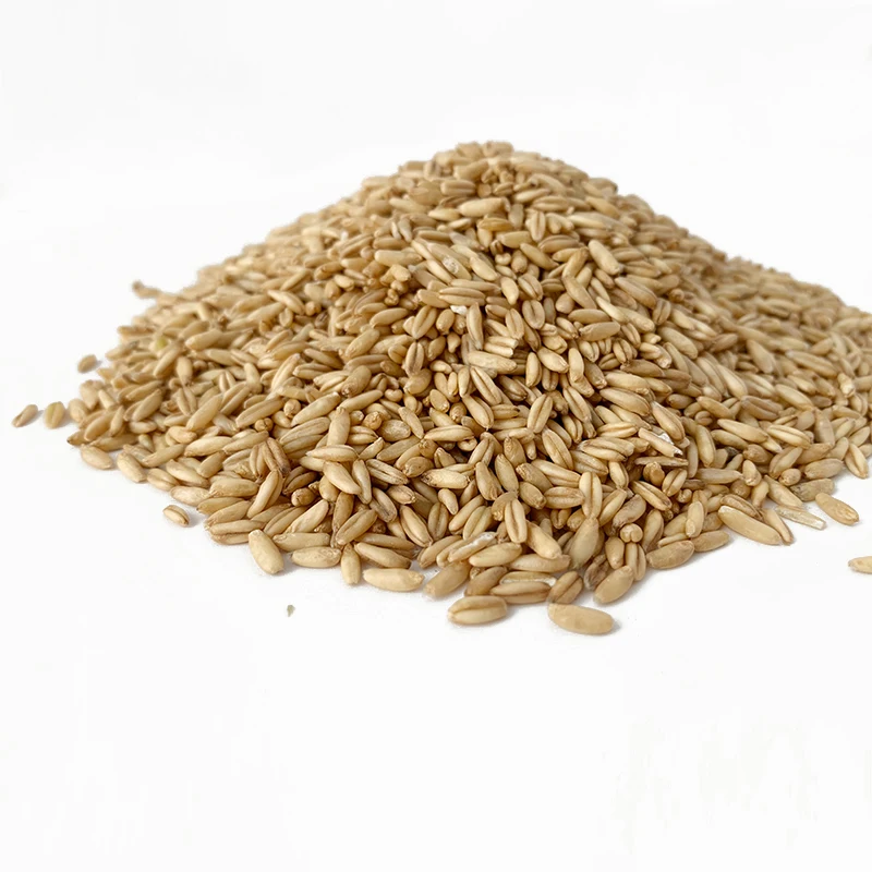 Wholesale Chinese manufacturer High quality  oats Kernel Natural oats