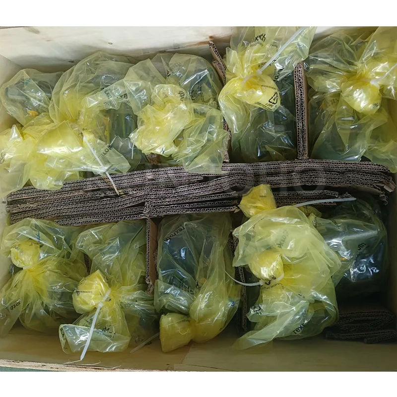 Rexroth A10vso18 A10vso28  A10vso45 axial piston pump A10VSO45DFLR/31R-PPA12N00 R902445058