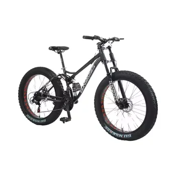 Customizable 26-Inch Fat Bike Cruiser Snow Mountain Fat Tyer Cycle Bicycle with 21 Speed Gears