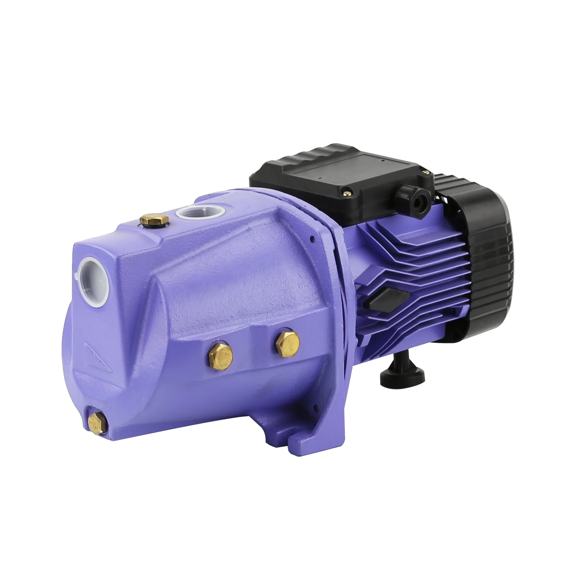 DACHENG 110V 220V JSW irrigation surface jet100 Auto Electric Power Motor 1hp Water Pressure jet Pump
