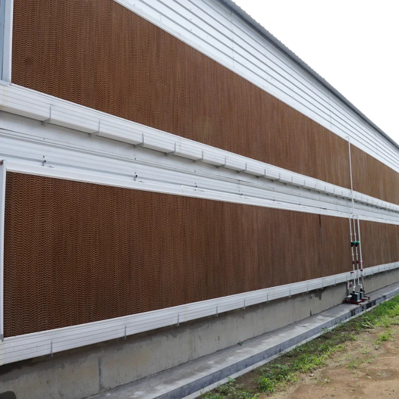 Poultry Equipment Chicken Cage Commercial Farmining Chicken Cages 4 Tier Chicken Layer Battery Cage For 10000 Birds