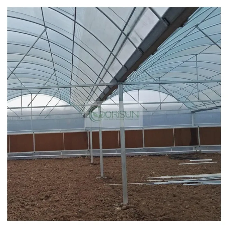 Popular Low Cost Commercial Greenhouses  Insulation Tunnel Greenhouses Heating Systems Multi Span Greenhouse For Walking