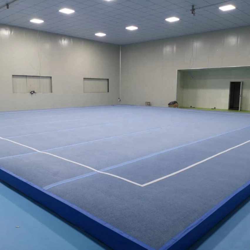 Professional Gymnastic Floor Exercises Field