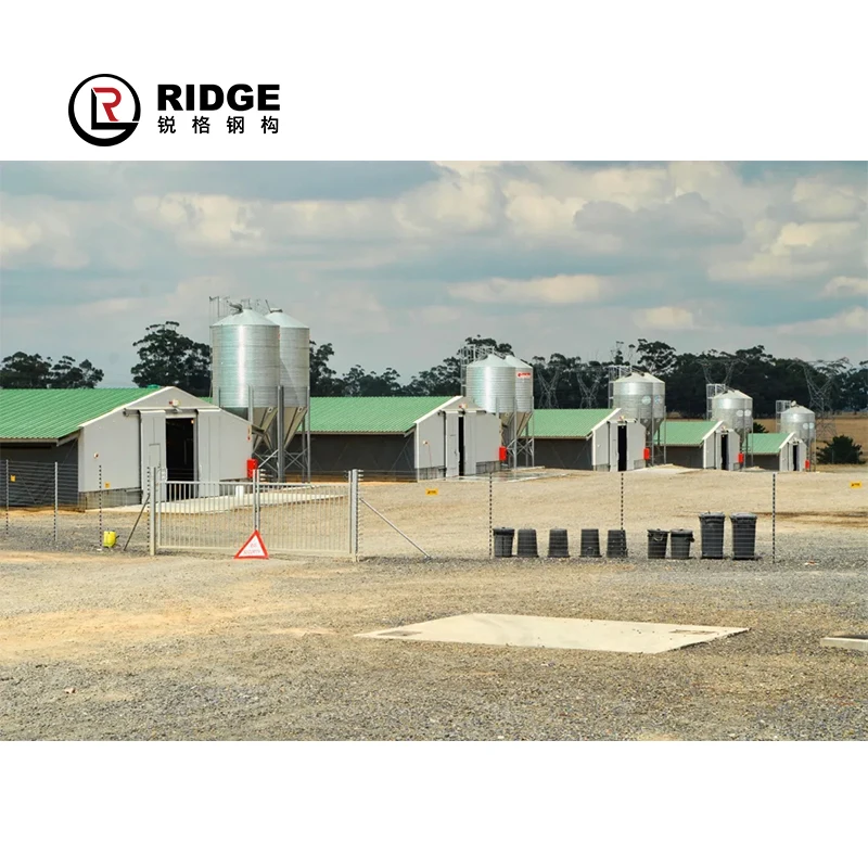 Fast assemble construction hen rooster steel frame house prefab poultry barn modular building