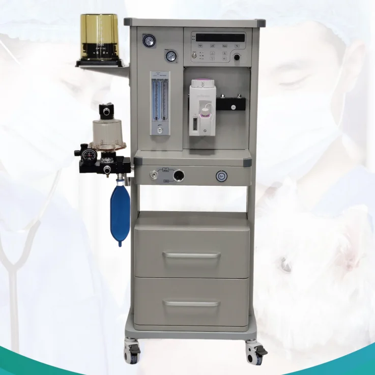 High quality CO2 absorber for vet anesthesia machine from factory with competitive price