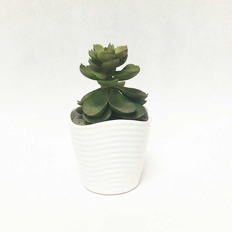 Lightweight Plastic Plant Pots with Open and Non-Open Holes New Design Garden Decorators for Outdoor Home Use Good Price