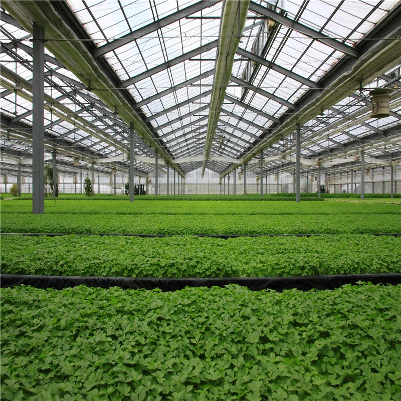 Good Light Transmission Polycarbonate Plate PC Sheet