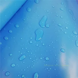 Heavy Duty PE Tarpaulin Waterproof Blue Tarp Sheet
