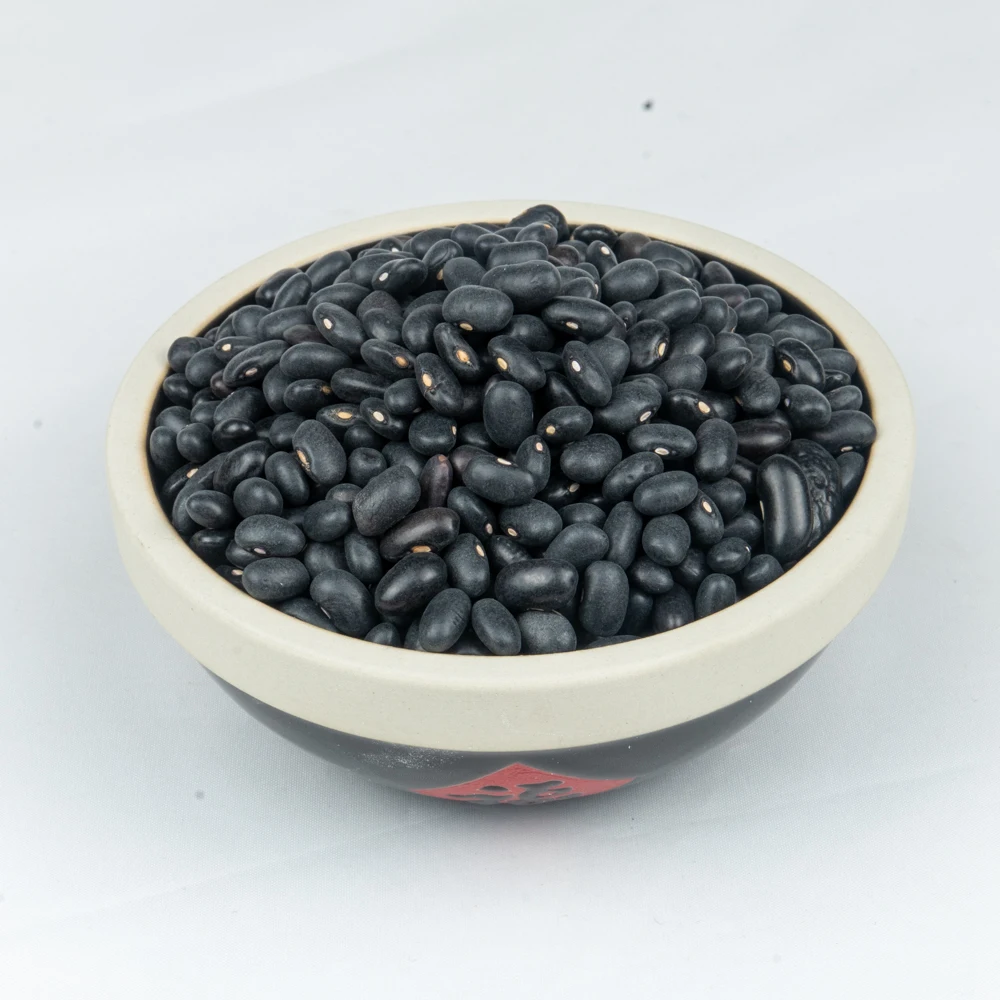 
High quality organic big black beans with yellow kernel/ black soybean with green kernel factory price 