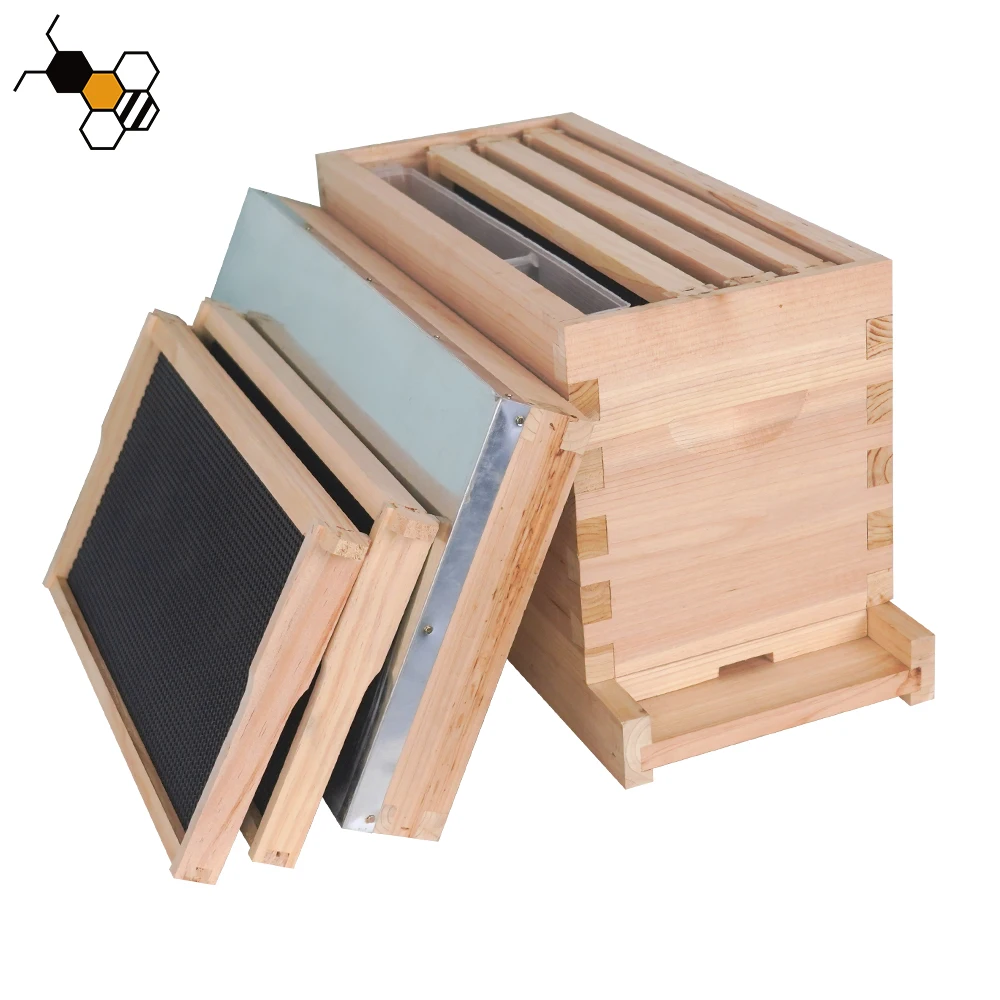 5 Frames beehive nuc bee box wooden langstroth nuc box cardboard nuc box bee
