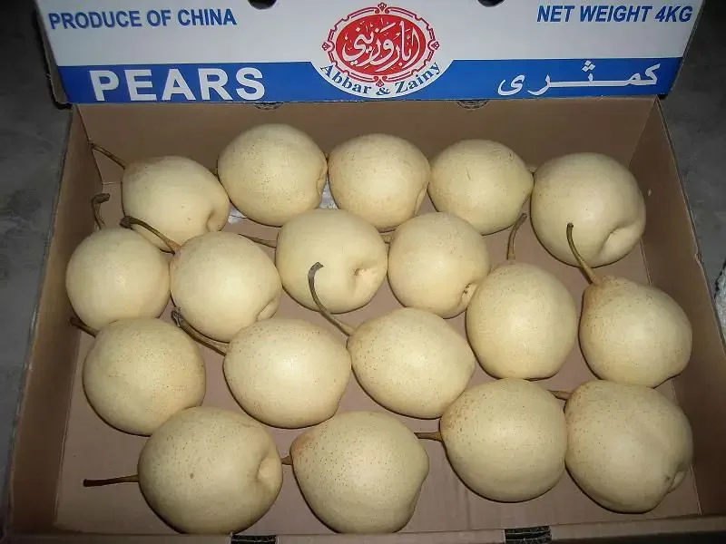New season of Fresh China Golden Pear/Century Pear/Crown Pear for sale Asian Pears Ya Sand Pear with cheap price