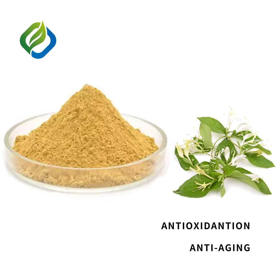Focuschem Factory Supply Pure Honeysuckle Flower Extract Bulk Chlorogenic Acid Honeysuckle Flower Extract