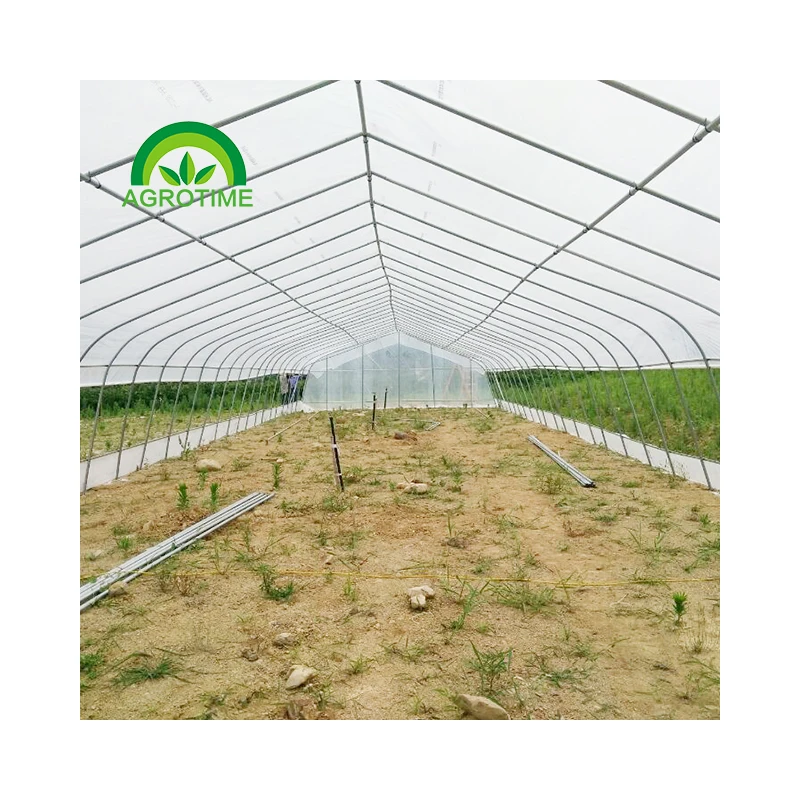 Tomato greenhouses Agricultural green house for tomatoes greenhouses with hydroponics to grow tomatoes