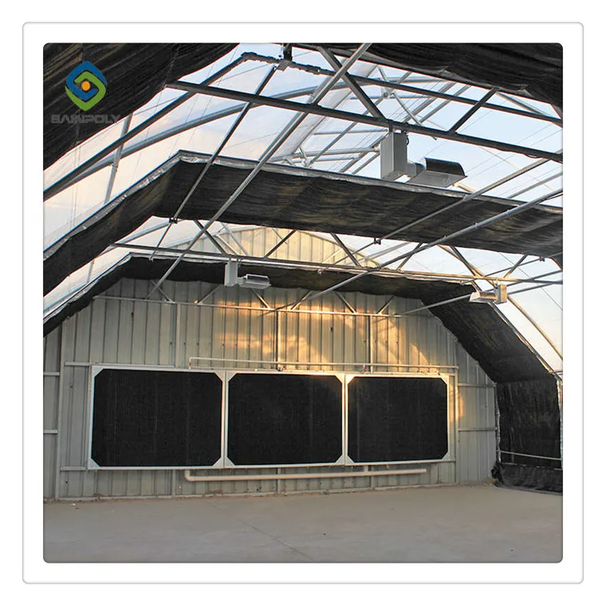 Бюджетный свет лишения плотные теплиц для сельского хозяйства теплицы