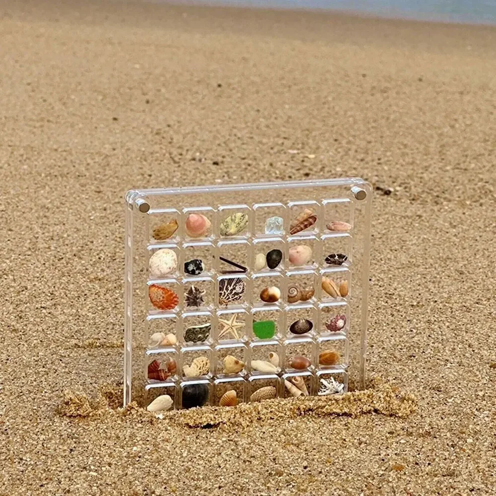 36/64/100 Shells Acrylic Clear Magnetic Storage Box Seashell Display Showcase Mini Jewelry Case Organizer