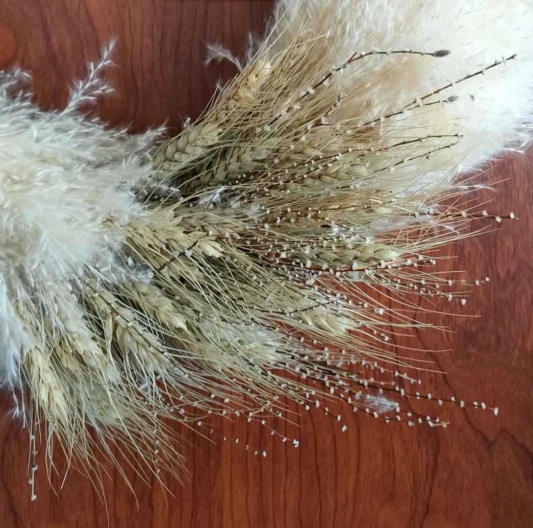 dried natural snow grass flower,natural tree twig for home decoration and floral arrangement