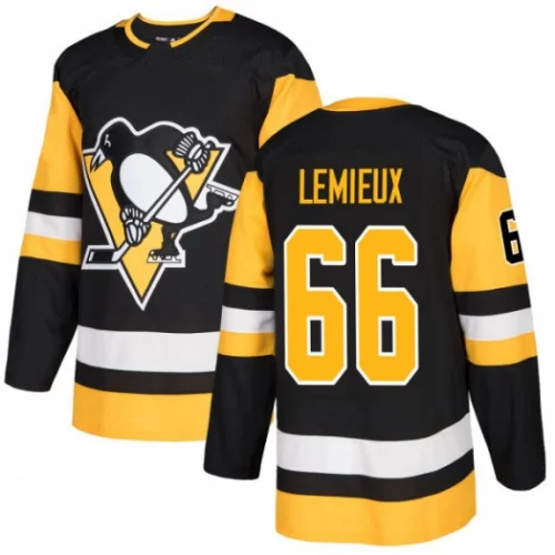 2023 New Wholesale China Best Quality Custom Pittsburgh Cheap Stitched Sports Ice Hockey Jersey 58 Letang 59 Guentzel 66 Lemieux