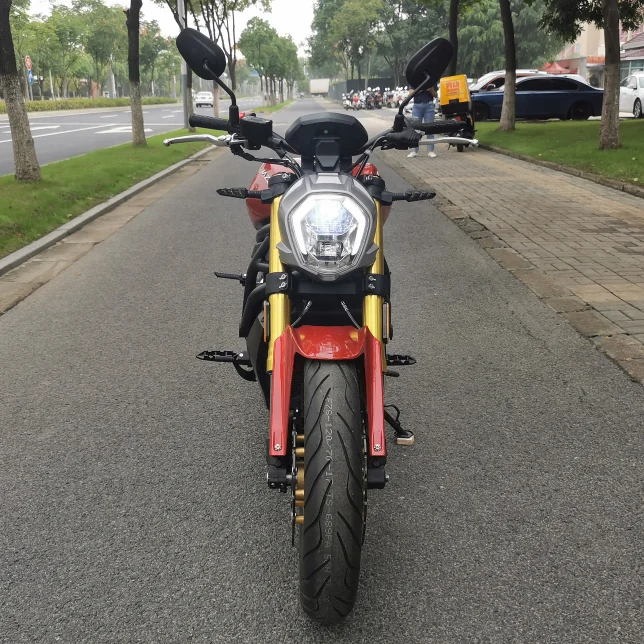 High Power Double mufflers digital Speedometer 650CC  water cooled engine  chopper motorcycle