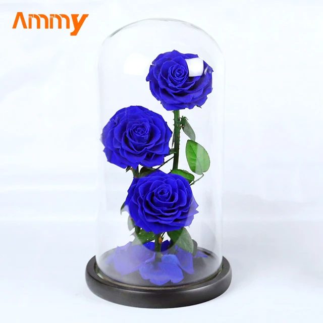 Ammy Factory Preserved Flower Rose Big Prince 3 Red Roses  Forever Flowers Eternal Roses In Glass Dome For Valentines Day Gifts