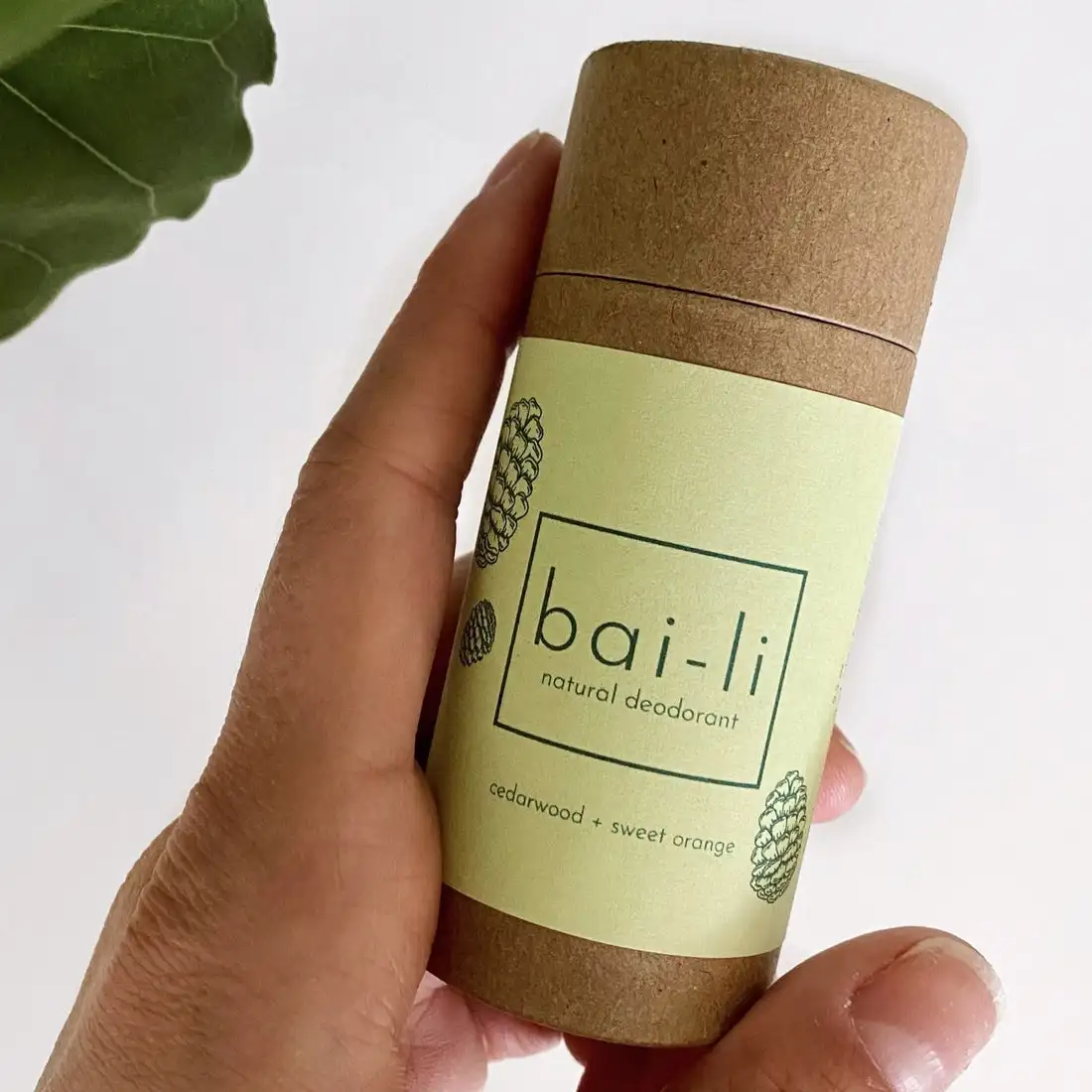 Eco Friendly Push Up Paper Tube Packaging Cardboard Tube Lip Balm Deodorant Stick Packaging