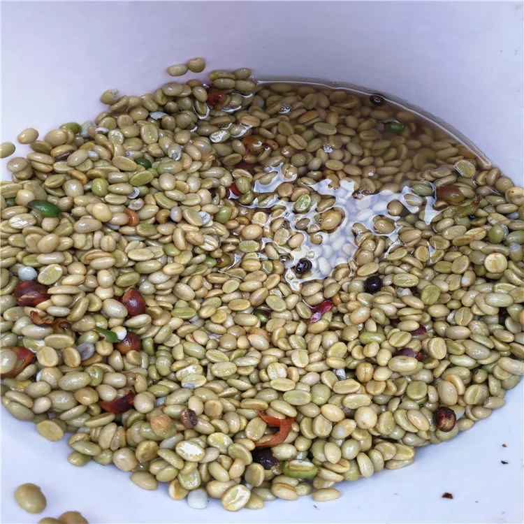Automatic Coffee Bean Pulper Pulping Machine Industrial Huller Peeler