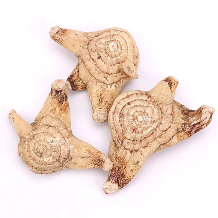 Bai ji Wholesale Herbal Rhizoma Bletillae Dried Bletilla Striata Root