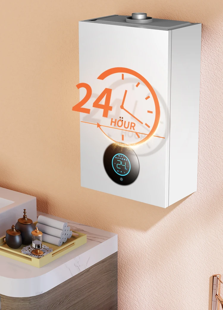 Double circuit Wall mounted furnace water heater domestic energy saving natural gas water heater