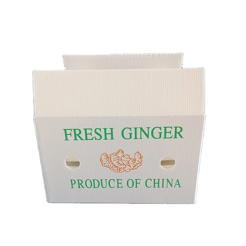 High Quality Customized Siez Vegetables Corrugated Plastic Boxes Dry Fruits Box
