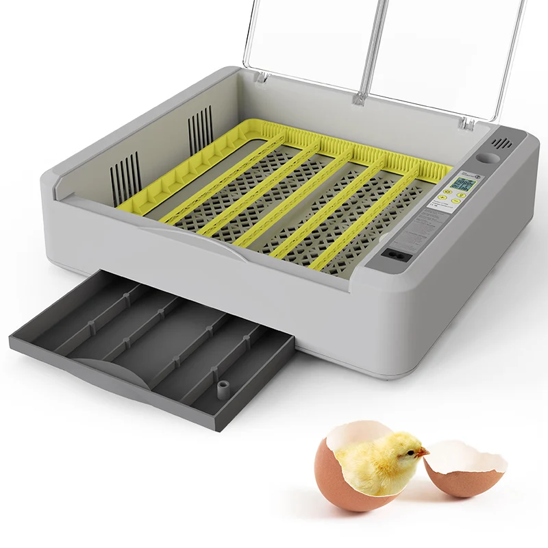 Wonegg Mini Dual Power 36 Eggs Chicken Broiler Pigeon Egg Incubator Automatic Brooder Incubator For Poultry