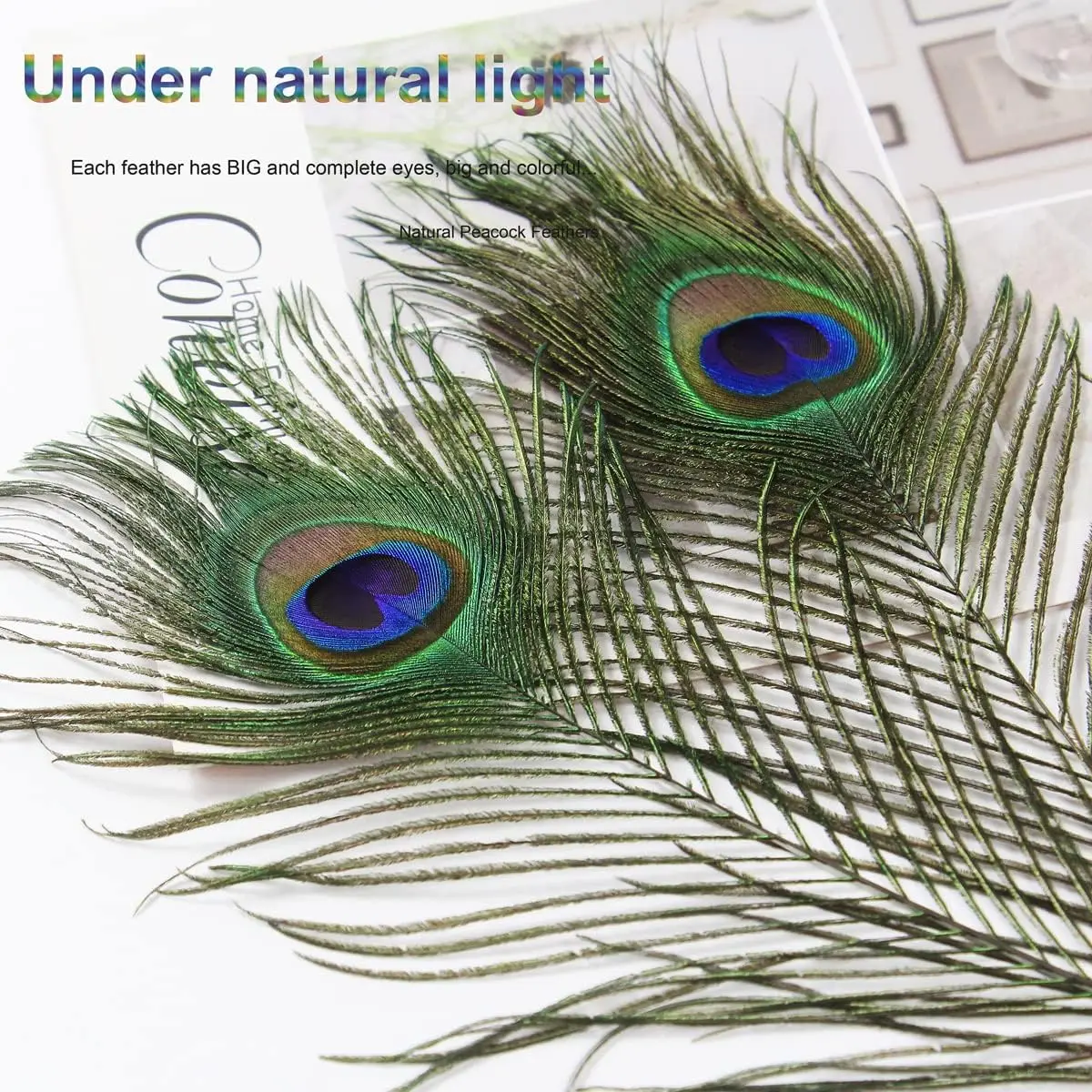 High Quality and Inexpensive Decor Peacock Feathers Real Natural Peacock Feathers Material for Cheap Sale DIY Craft Carnival