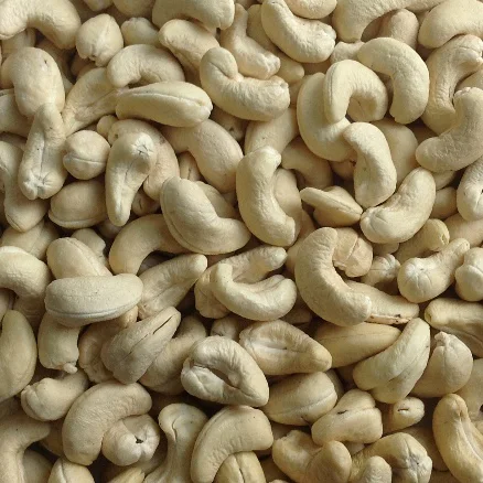 
OEM packing healthy foods VIETNAMESE CASHEW NUTS WW450 
