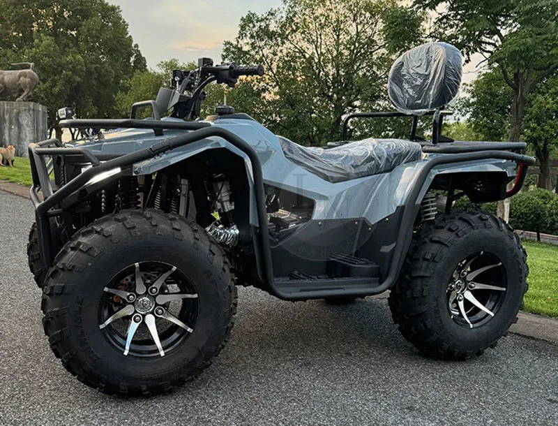 350cc China Snowmobile With 80km/h Speed Electric Snow Scooter Snowmobile Hot Selling