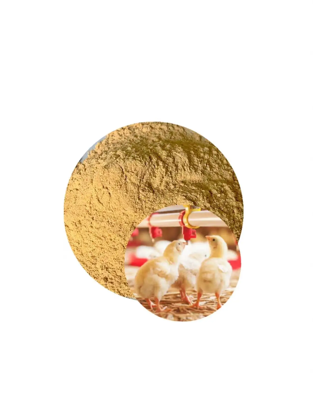 Corn gluten meal 60% rich protein for domestic animals