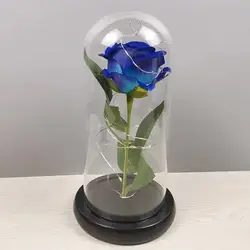 Love Roses in Glass Tube Dome Everlasting Flower Rose Stem Flower Glass Dome Rose