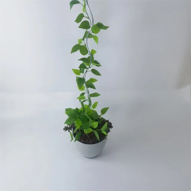 Wholesale custom Greenhouse tomato spiral plant stake 1.8m tomato seedling growing climbing support