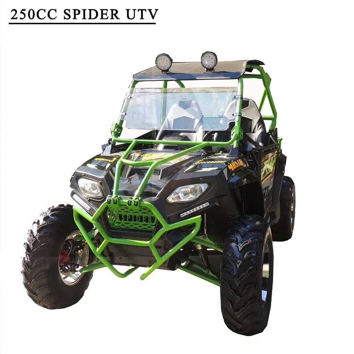 New design Shaft-drive strand cross kart buggy