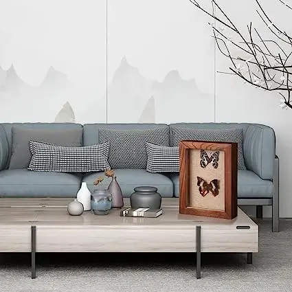 OEM Shadow Box Frame Display Area with Glass with Hinge and Magnetic Door Walnut wooden shadow box