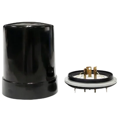 Lora Street Lamp Dimmer With Remote Control 100W 200W 300W Smart Pole Lighting Controller