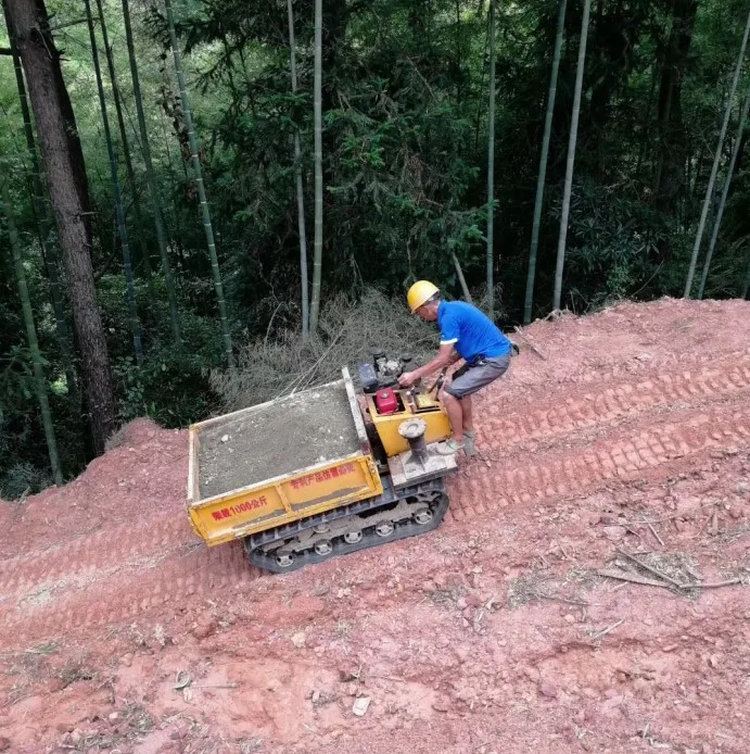 Mini Crawler Skid Steer Loader Chinese Skid Steer Loader Mini 3 Ton Dumper