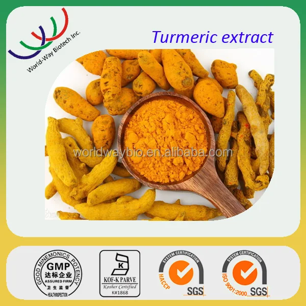 Water Oil Soluble Turmeric Extract Powder Curcumin