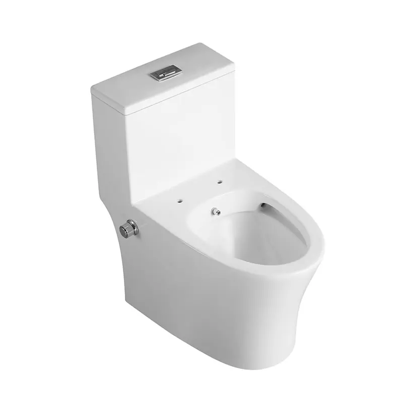 Bidet Toilet Modern Design Bathroom Washdown Rimless One Piece Ceramic UF Material Soft Closing Seat Bidet Wash Floor Mounted