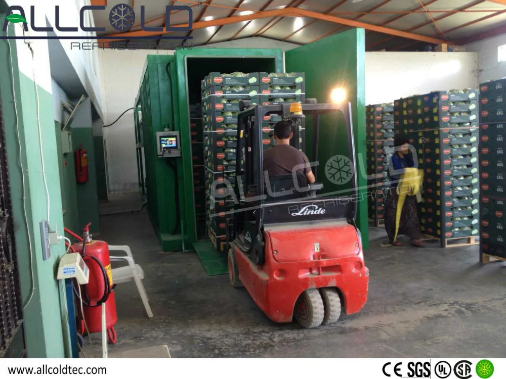 Fast pre-cooling of vegetables & herbs leaf vacuum cooler machine