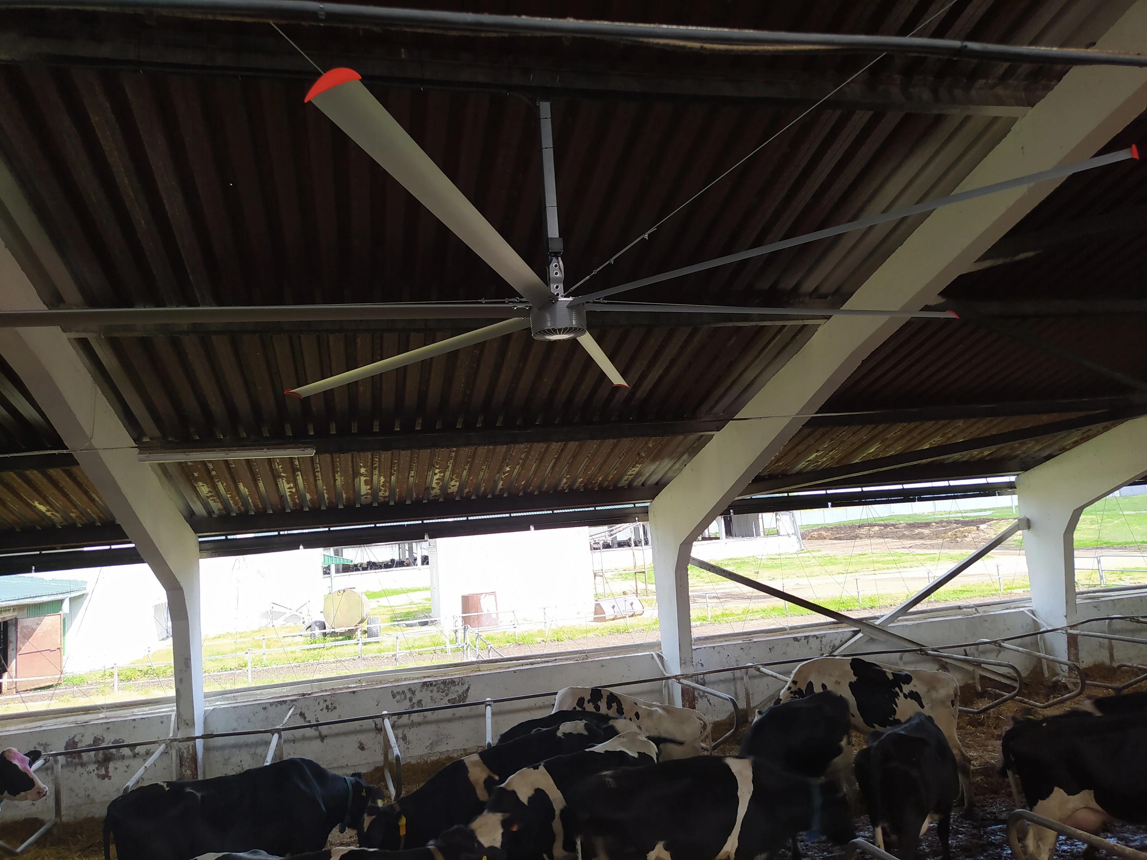 24ft hvls fan for cattle farm use