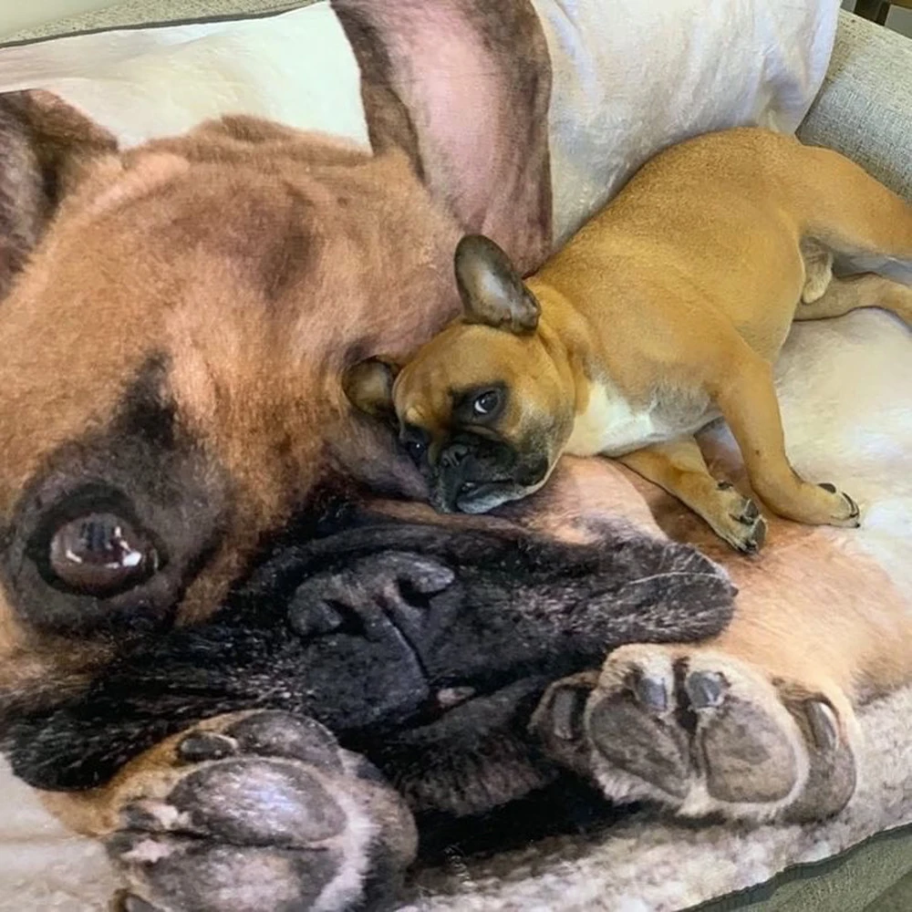 Fast Delivery Sublimation Custom Logo Cheerleading Fleece Blanket