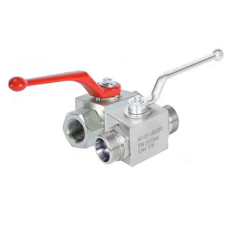 Factory hot selling Two way valve check valve